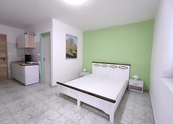 Szandra Apartmanhaz 公寓 根尼斯迪亚斯
