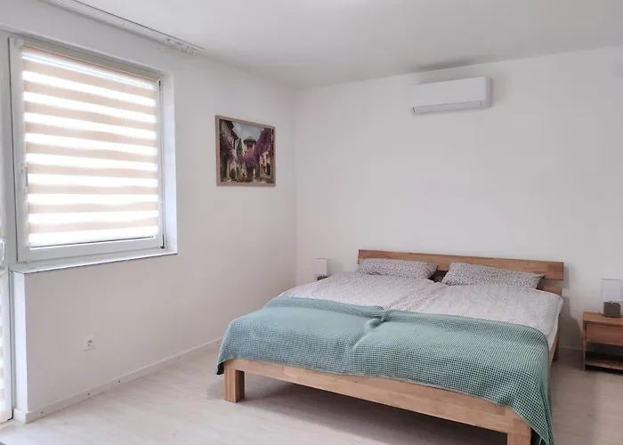 公寓 Szandra Apartmanhaz *